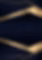 fondo pag.png
